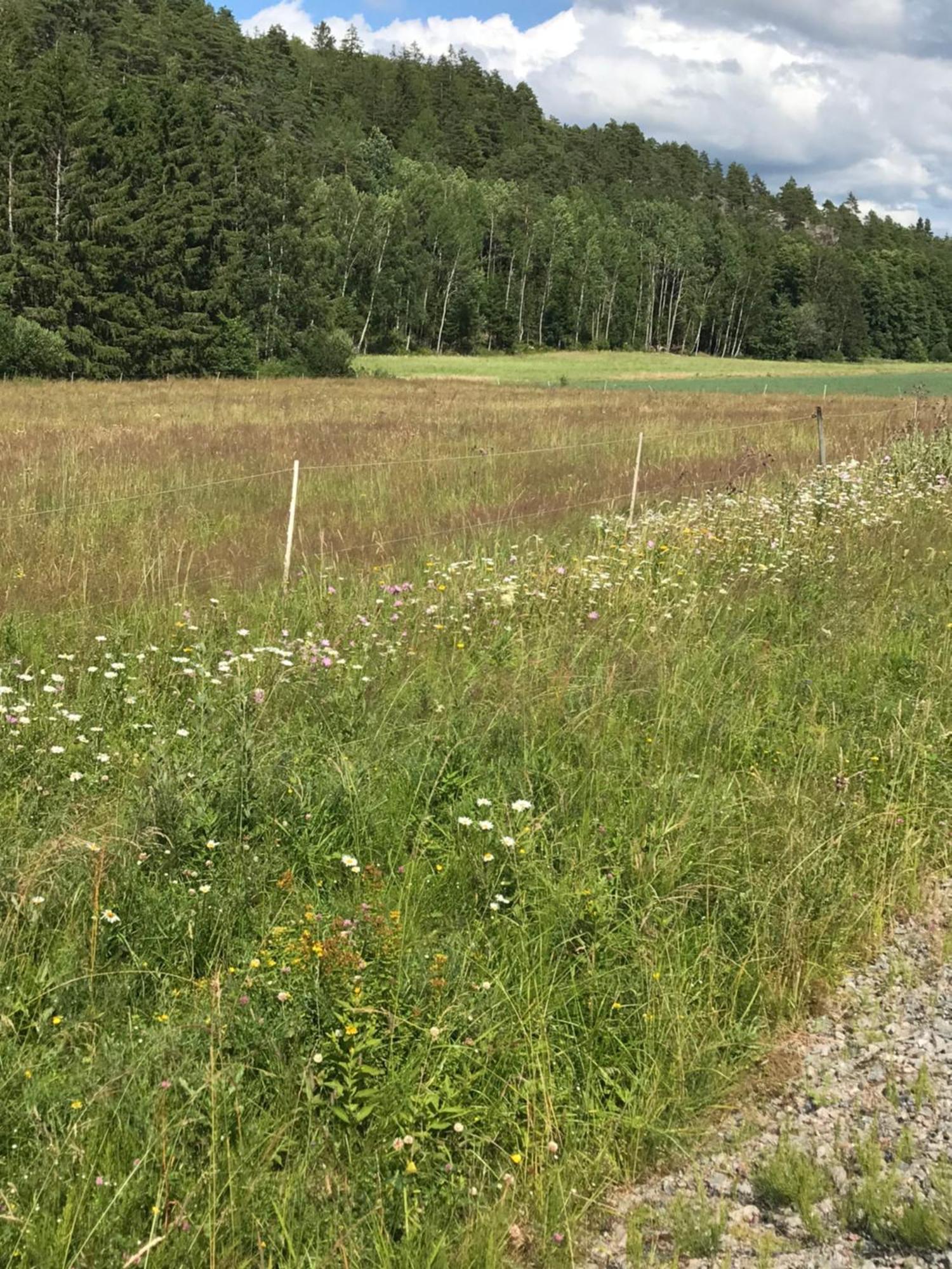 Charmigt Aeldre Hus, Laddbox 22 Kw, 5 Bil-Minuter Till Bad Stromstad Bagian luar foto